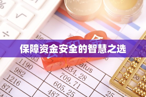 普兰店保障资金安全的智慧之选