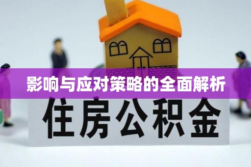 普兰店影响与应对策略的全面解析