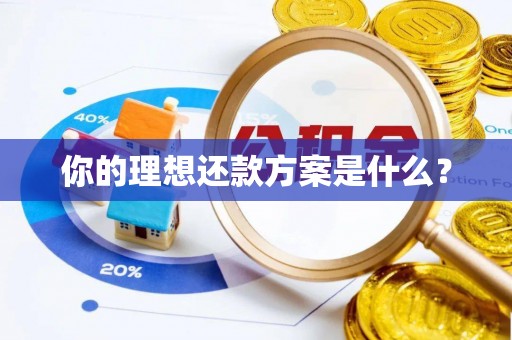 普兰店你的理想还款方案是什么？